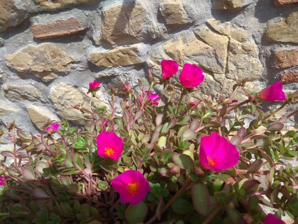 La Magnolia Acomodação com café da manhã Greve in Chianti Exterior foto
