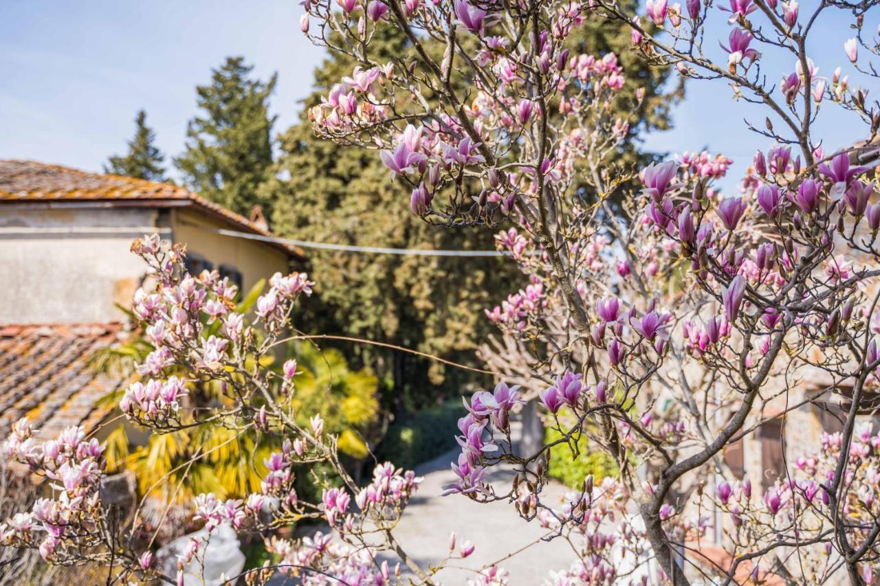 La Magnolia Acomodação com café da manhã Greve in Chianti Exterior foto